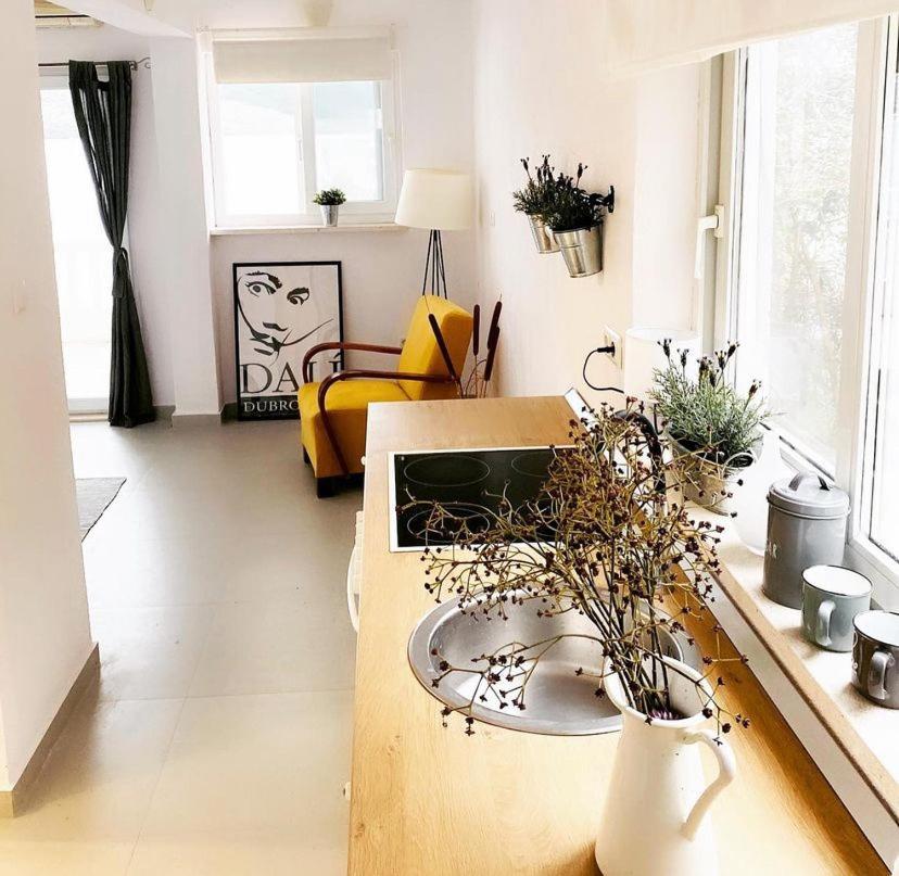 House Paula Apartment Klek Ngoại thất bức ảnh